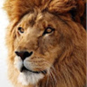 Meet your Posher, Mark a